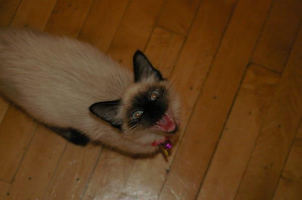 Photo of Jolene X.