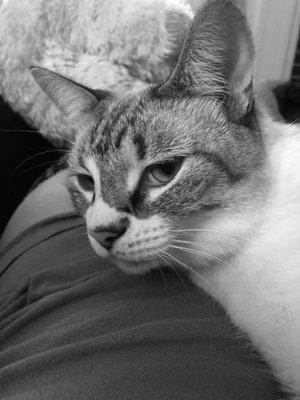 Photo of Izabelle M.