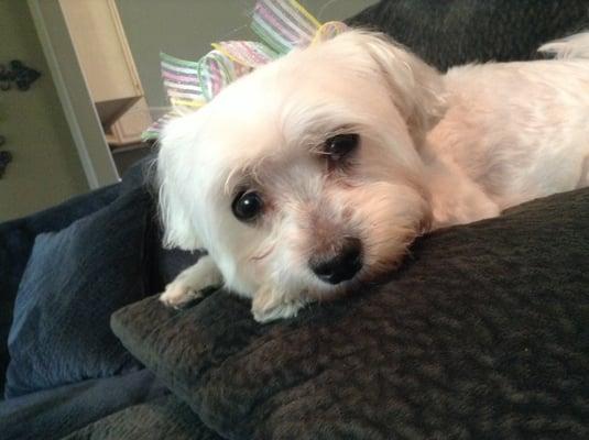 photo of Christine B.