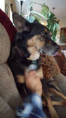 Photo of Patricia M.