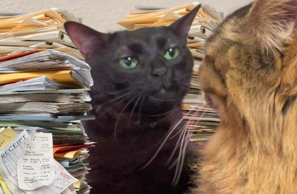 Photo of Jeannine B.