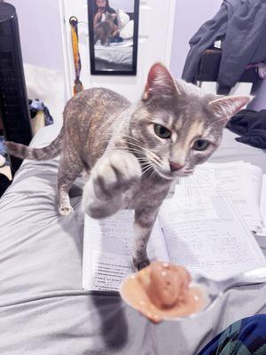 Photo of Lila D.