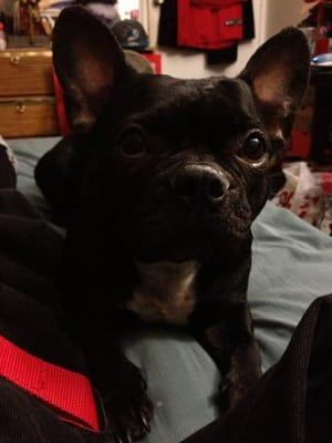 Photo of Mario O.