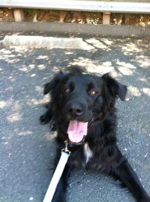 Photo of Michelle K.