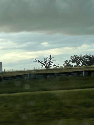 photo of Mekormak K.