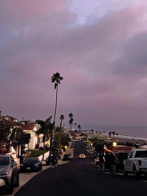 photo of Mingxuan D.