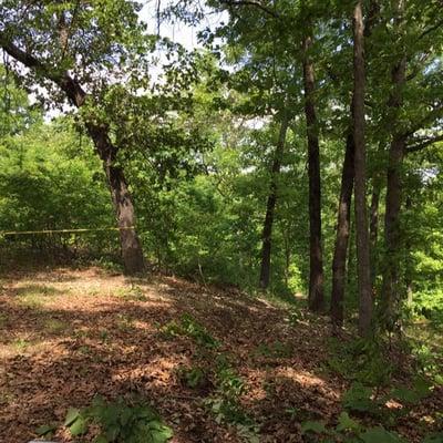 photo of Constance T.