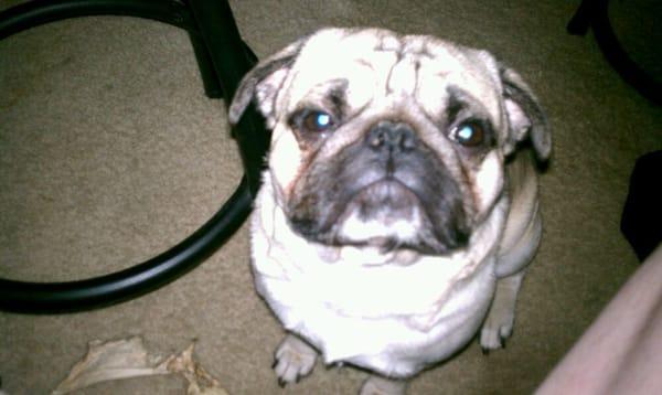 Photo of Calin D.