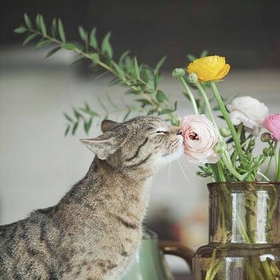 photo of Obersand F.