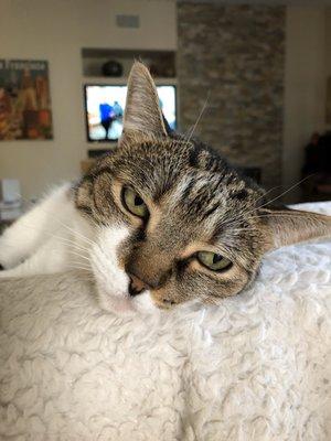 photo of Kimberly V.