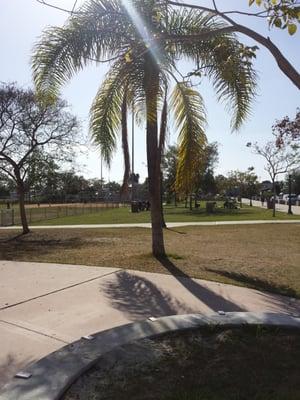 Photo of Diddy619 D.