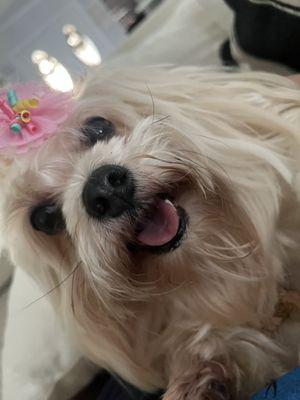 photo of Carolina P.