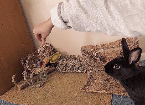 photo of Marcella H.