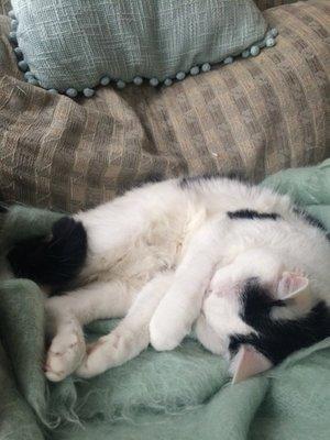 photo of Stephanie F.