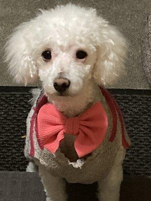 Photo of Alicia V.