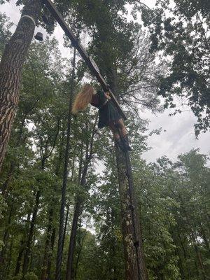 photo of Charlotte C.