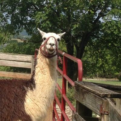 photo of Victoria T.