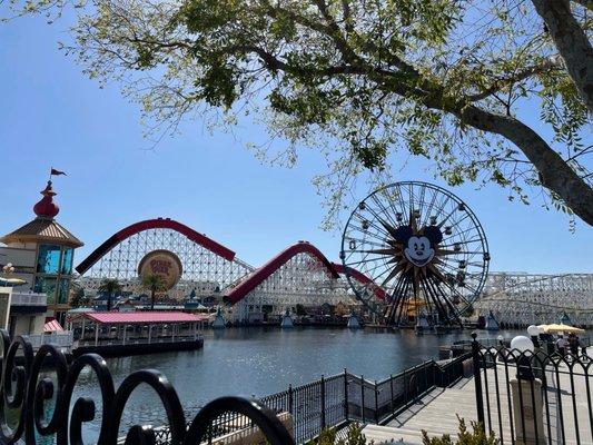 photo of Amandore D.