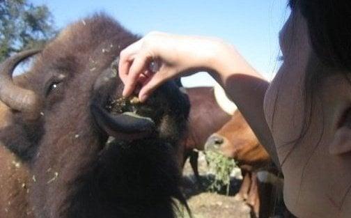 photo of Cassandra W.