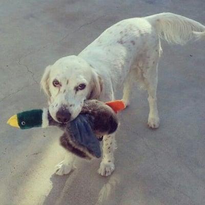 photo of Christopher V.