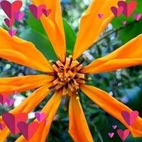 photo of Graciela L.