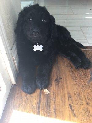 photo of Brittnay B.