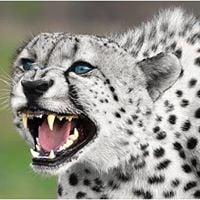 photo of Caroline C.