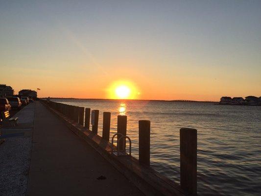 Photo of Rhiannon D.