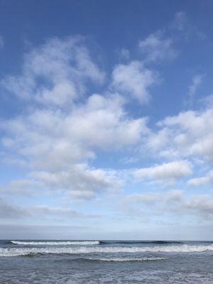 photo of Jocelyne M.