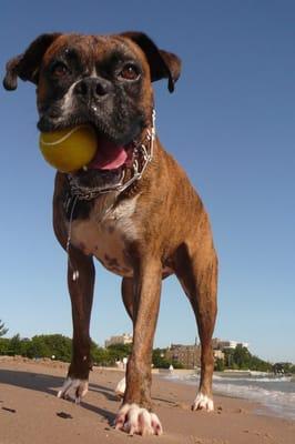 photo of Julie D.