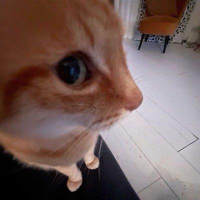 photo of Jacquelyne B.