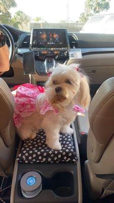 photo of Kye-Leigh B.