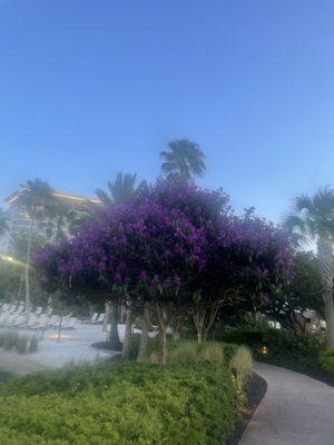 photo of Samantha G.