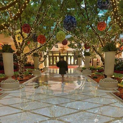 photo of Diana Jeanne N.