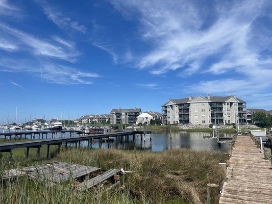 photo of Akaeagle G.