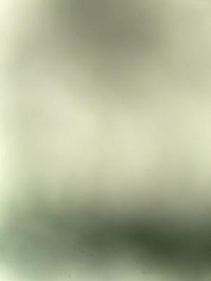 photo of Michelle C.