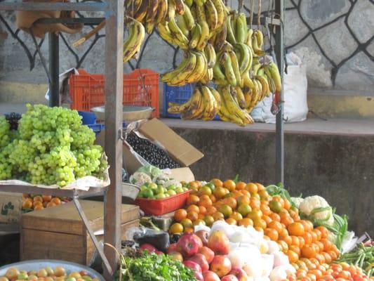 photo of Rochelle S.