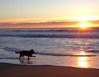 photo of Kimberley B.