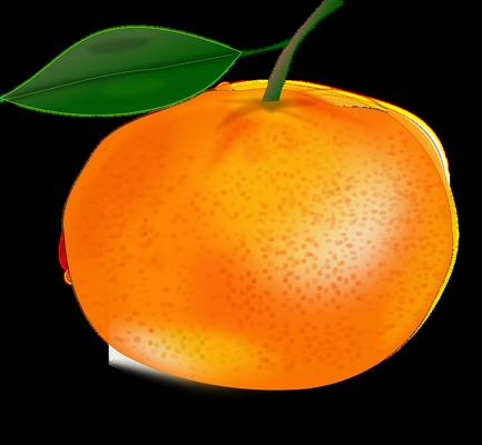 Photo of Fresh R.