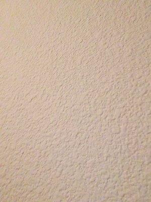 Photo of Huckleberry S.