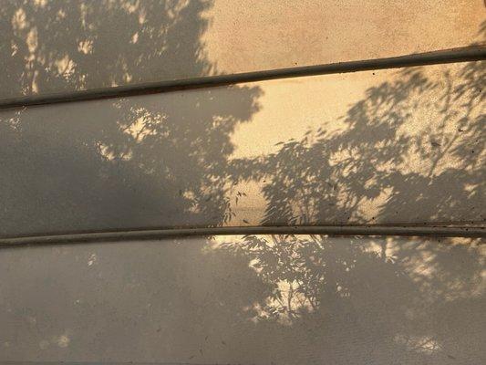 photo of Cristina N.