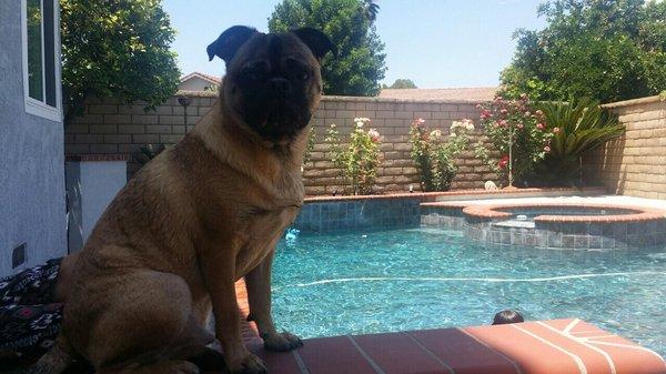 photo of Jonald Irving S.