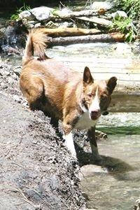 Photo of Stephanie H.