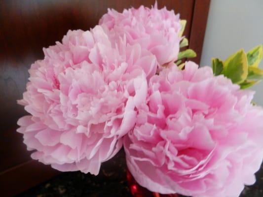 photo of Kimberly C.