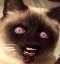 photo of Alex Brown S.