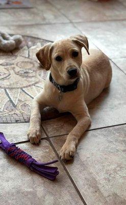 photo of Elizabeth S F.