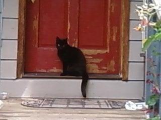 photo of kathleen d.