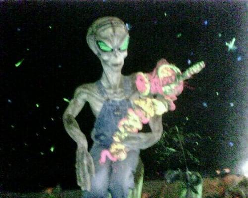 Photo of Philepae P.