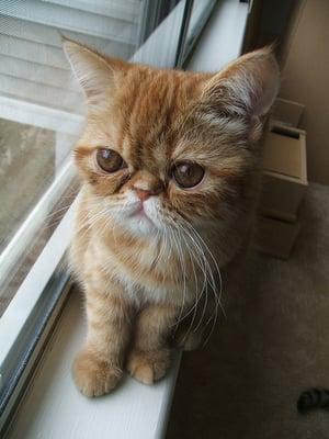 photo of Sayamaru K.