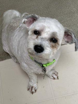 photo of Mary Ann L.